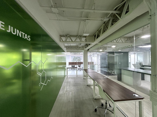 Oficina En Renta - Insurgentes Sur - Piso 4 - 361 M2
