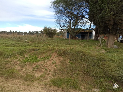 Sauce,chacra, Casas,galpones, Prox A Ruta 6, Vendo Financio