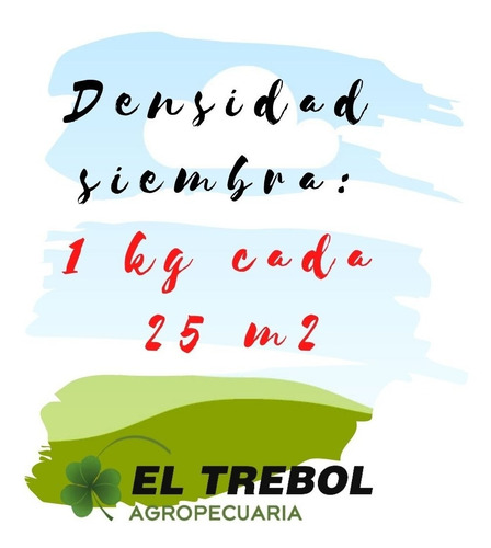 Semilla Cesped Festuca (turf Type) Grand Prix Bolsa X 1 Kg