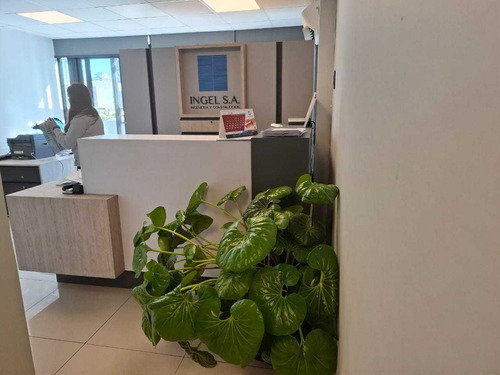 Excelente Oficina Metro Alcantara (95224)