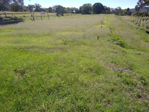 Imagen 8 de 13 de 720m2 A Orilla De El Lago Valsequillo