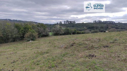 Imagem 13 de 24 de Chácara A Venda No Bairro Cascata Em Pelotas - Rs. - 2132-1