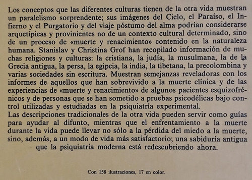 Más Allá De La Muerte - Stanislav Y Christina Grof