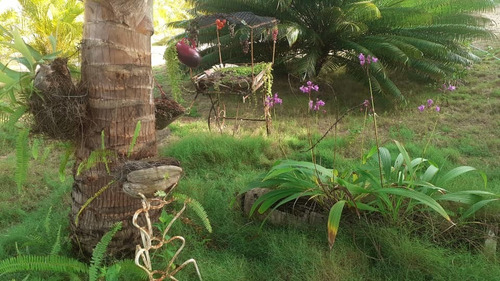 Imagen 15 de 27 de Casa Ideal Para Posada Boca De Uchire Itsmo Caribe Salida A La Playa