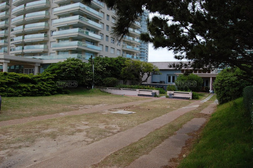Primera Línea Costanera Rambla Williman Local En Alquiler Anual Ubicado En Playa Mansa, Punta Del Este