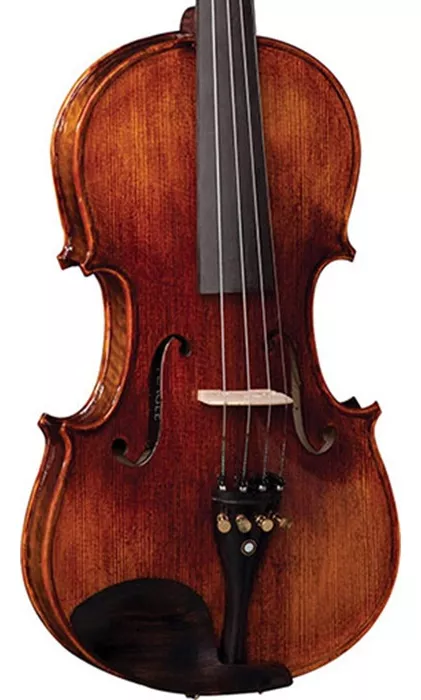 Segunda imagem para pesquisa de violino eagle vk 544