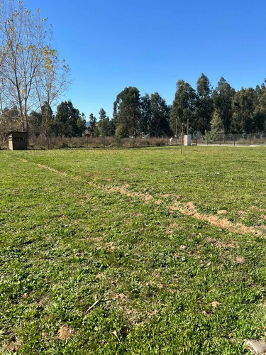 Parcela Con Casa Entre Linares Y Panimavida (163683)
