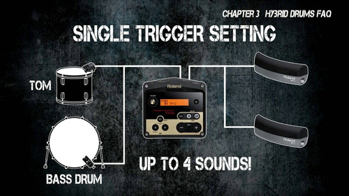 Módulo De Sonidos De Bateria Tm2 Roland Tm-2 Trigger Module