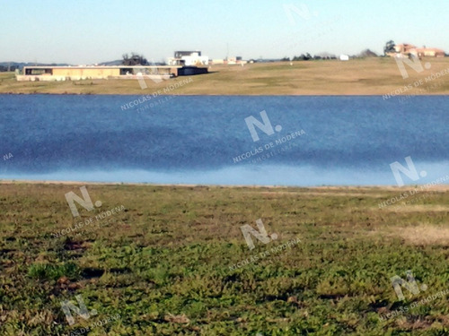 Imagen 16 de 22 de 50 Metros De Costa, Acepta Financiacion Sin Interes, Venta, Chacra, Punta Del Este, Uruguay, Laguna De Los Cisnes - Punta Ballena Laguna De Los Cisnes