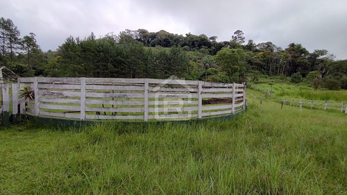 Imagem 29 de 30 de Mini Haras - 213 - 70588973