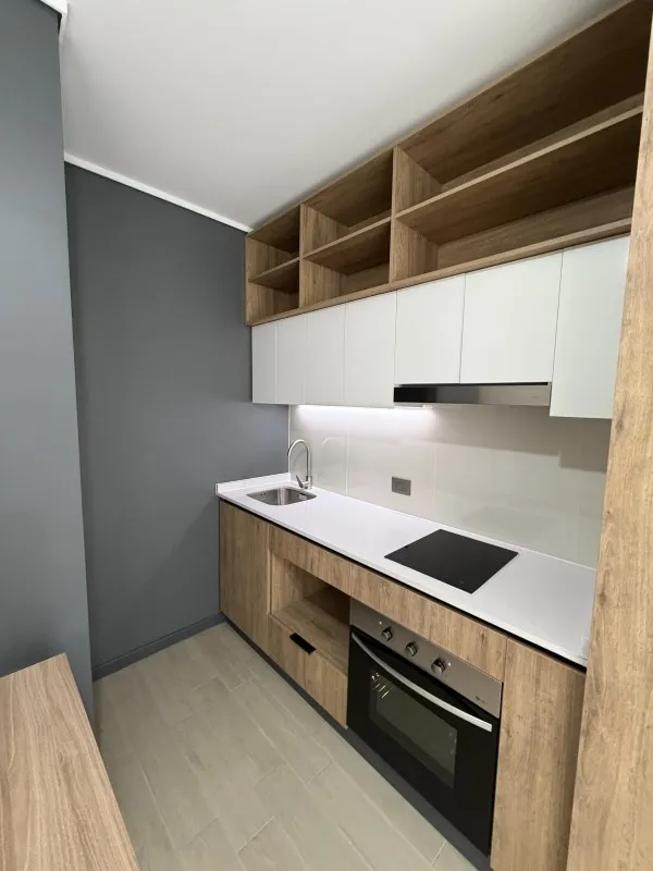Imagen 4 de 27 de Departamento En Arriendo 1d 1b, Nuevo, Recién Entregado