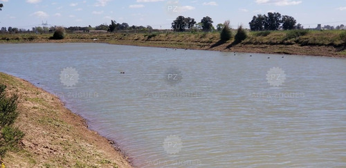 Imagen 10 de 18 de Terreno Lote En Venta Ubicado En Canning, Ezeiza