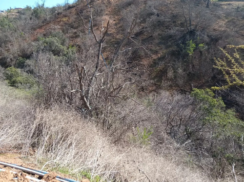 23 Hectáreas En La Tranquila Quebrada Escobares