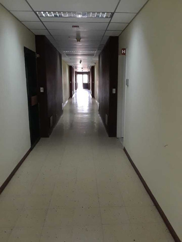 Imagen 14 de 15 de Alquiler Oficina Colinas De Bello Monte 59m2