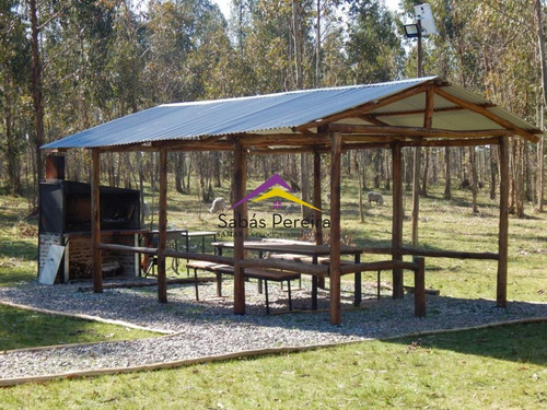 Imagen 20 de 24 de Chacra En Venta 15ha, Ruta 12 Lavalleja