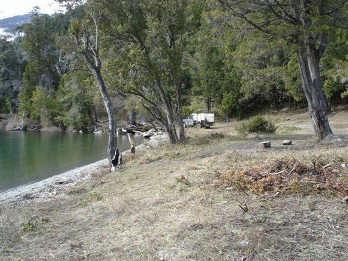 Terreno Con Costa De Lago Gutierrez, Playa Y Bosque, San Carlos De Bariloche - Ruta 40