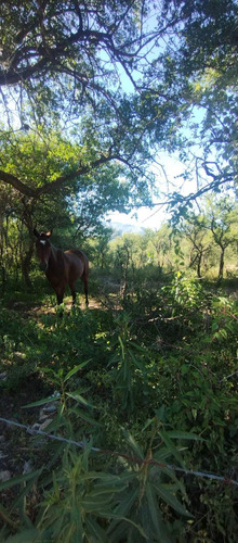 Lotes En Venta Las Rabonas, Traslasierra Escritura