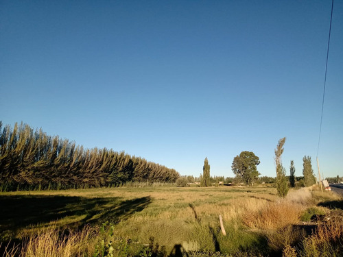 Imagen 2 de 4 de Venta Terreno Con Frente De Ruta 22 En Cipolletti