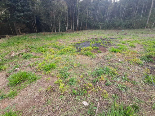 Imagem 3 de 7 de Aqui Tem Terrenos Ótimos, 1000m² De Área Útil