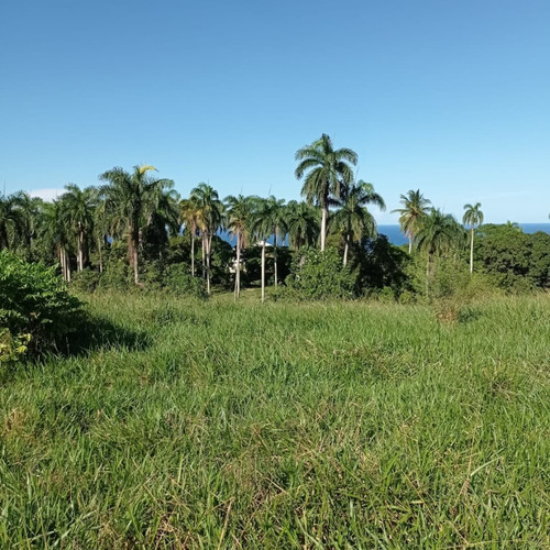 Imagen 2 de 9 de Lote En El Sector Catalina, Municipio Cabrera