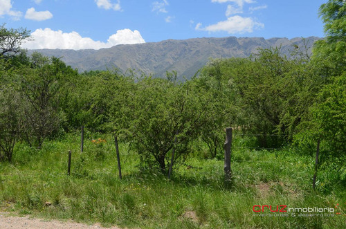 Imagen 8 de 14 de Lote Sobre Av. Los Mandarinos