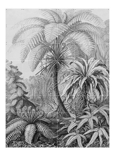 Mural Ixxi Ferns - Large 120 X 160 Cm