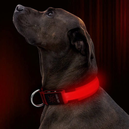 Da.Wa LED Golllar de Perro LED Luz del Collar para los Perros Golgante para Perros