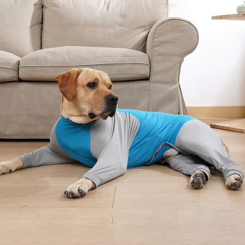 Sudaderas Para Perros De Todos Los Tamaños: Pequeña, Mediana