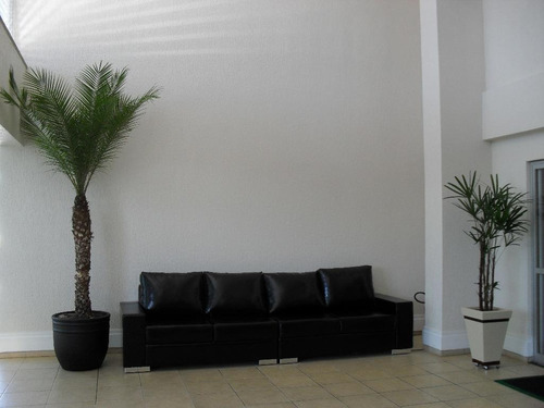 Imagem 3 de 8 de Apartamento Com 3 Dormitórios À Venda, 74 M² Por R$ 300.000,00 - Setor Pedro Ludovico - Goiânia/go - Ap0136