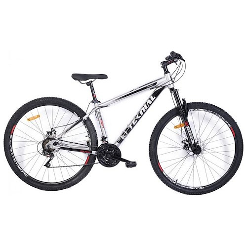 Bicicleta Teknial Tarpan 200 Run Mtb R29 Ciclofox Gris Verde