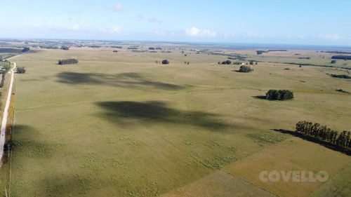 152 Hectáreas De Campo En Venta, Próximo A Jose Ignacio Sobre Ruta Nacional N°9