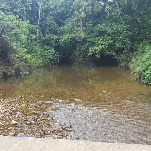 Imagen 10 de 20 de Finca En Arriendo En Carmen De Apicalá, Melgar, Tolima. Camino Real, Totalmente Privada. Con Piscina, Juegos, Cocina Con Todo Su Menaje, Tv Con Señal Directv., Equipo De Sonido, Zonas Verdes ,segura.