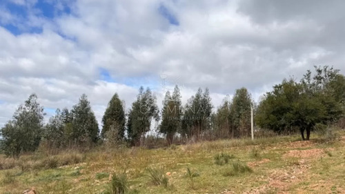 Se Vende Chacra 5 Has En Campanero En Un Alto Con Buena Camineria.