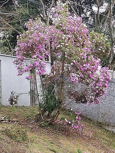 Imagem 8 de 17 de Chácara Com 4 Dormitórios À Venda, 1264 M² Por R$ 798.000,00 - Castanho - Jundiaí/sp - Ch0086