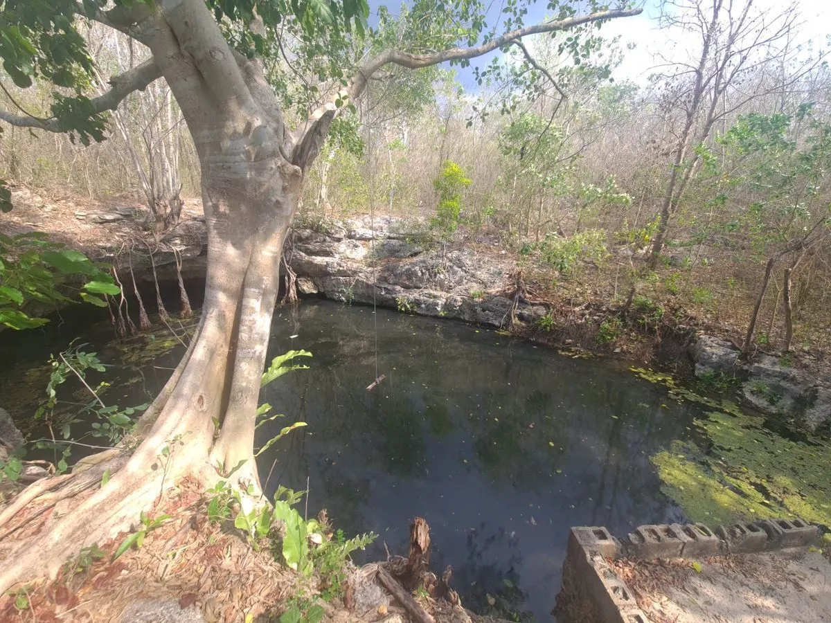 Terreno Con Cenote Y Aguada, Propiedad Privada