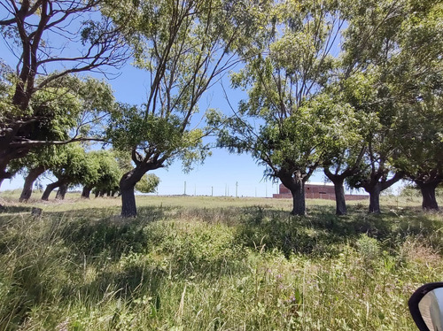 Gran Loteo En San Bernardo, Sobre Colectora!