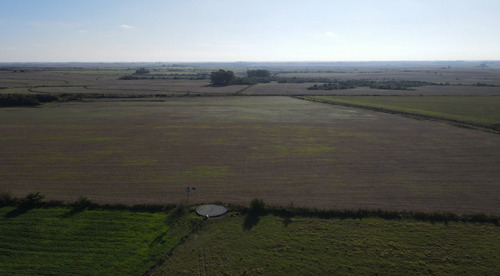 Campo Agricola De 21.5 Has En Corrales (antelo)