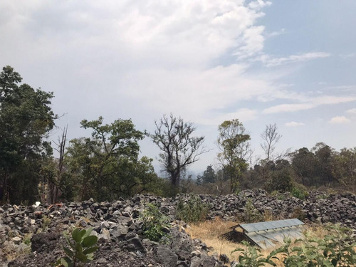 Terreno En Venta En Rosaleda, Lomas Altas, Miguel Hidalgo, Cdmx
