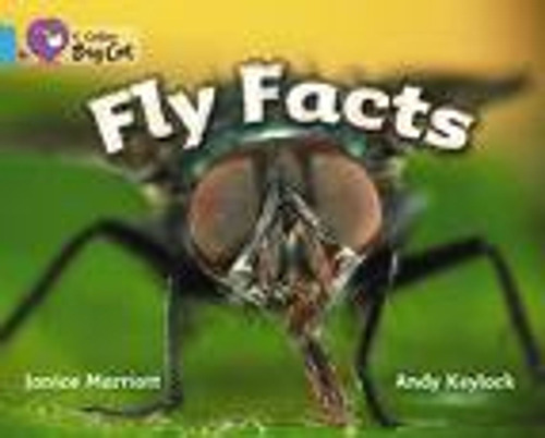 Fly Facts - Band 7 - Big Cat