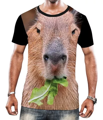 Rato gigante - capibara