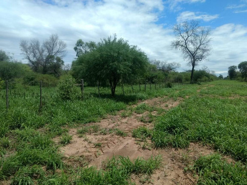 Imagen 4 de 18 de Venta Campo En Santiago Del Estero, Norte De Monte Quemado