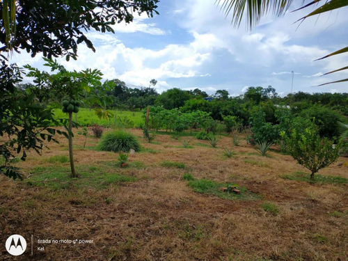 Vende Chácara 95x1585 A 3.5 Km De Rolim De Moura Rondônia