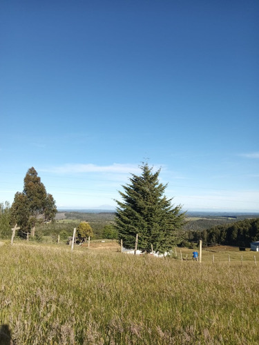 Parcela En Fresia, Llico, Sector Las Cuyas