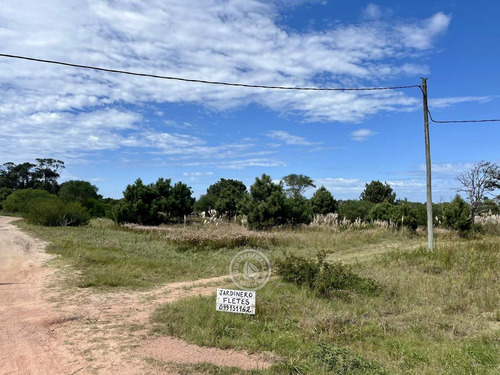 Terrenos En Zona Bosque De La Viuda En Punta Del Diablo