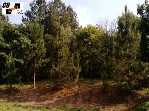 Imagem 17 de 21 de Chacara - Ch00102 - 32005865