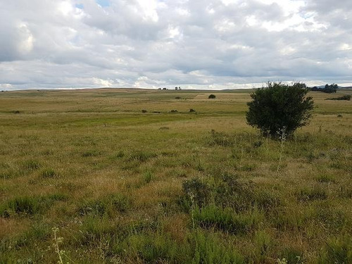 Campo En Mariscala - Lavalleja Ruta 8
