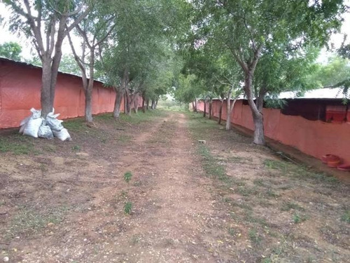 Imagen 30 de 30 de Jose Lopez Ofrece Finca ( Granja Avícola / Agrícola ) En Venta Vía A Duaca Caserio Guayabal Cordero Lara, Venezuela ,j G L Rent - A - House Telf. 0414-5533925 Cod # 22-16836 $ 15000