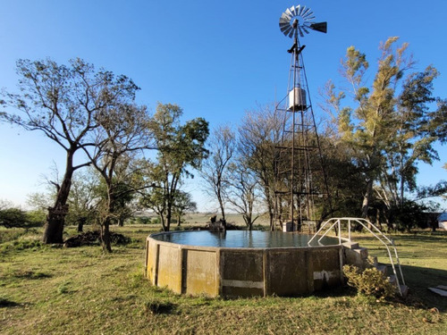 Imagen 4 de 17 de Casco De Estancia A 600m De La Ruta 11