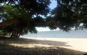 Imagen 4 de 5 de Vendo Hermoso Terreno En Ituzaingo (u$s65000)
