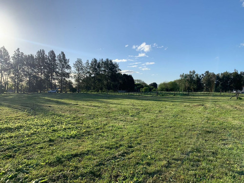 Imagen 2 de 6 de Terreno En Venta En Cañuelas